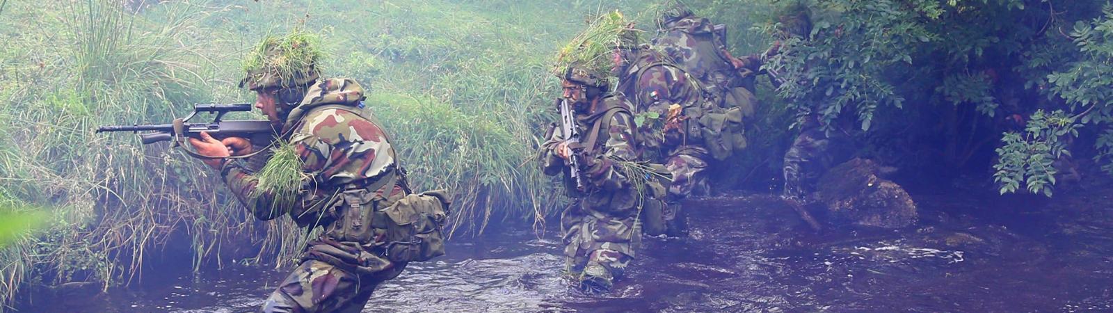 Reserve Defence Forces